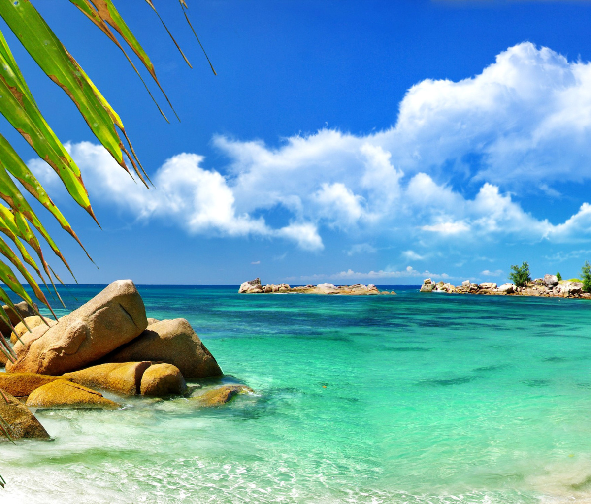 Aruba Luxury Hotel and Beach screenshot #1 1200x1024