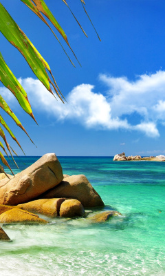 Aruba Luxury Hotel and Beach screenshot #1 240x400