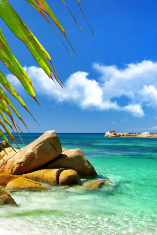 Sfondi Aruba Luxury Hotel and Beach 320x480