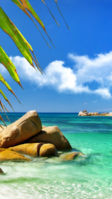 Aruba Luxury Hotel and Beach wallpaper 360x640