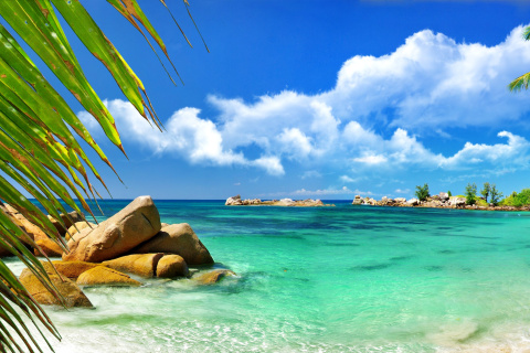 Screenshot №1 pro téma Aruba Luxury Hotel and Beach 480x320