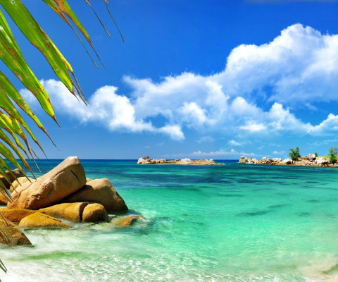 Sfondi Aruba Luxury Hotel and Beach 480x400