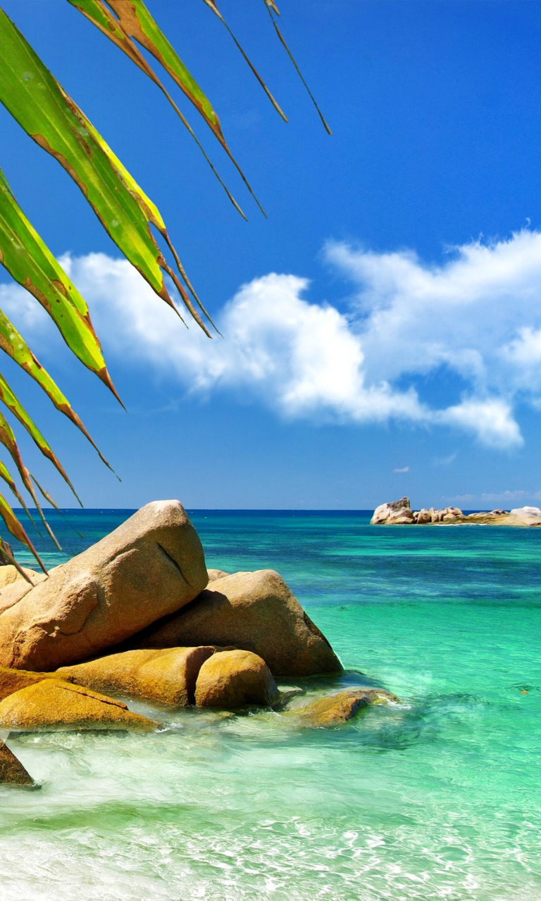 Aruba Luxury Hotel and Beach screenshot #1 768x1280