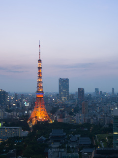 Das Twilight in Tokyo Wallpaper 240x320