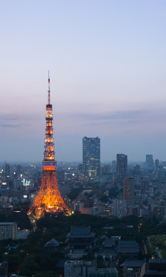 Das Twilight in Tokyo Wallpaper 240x400