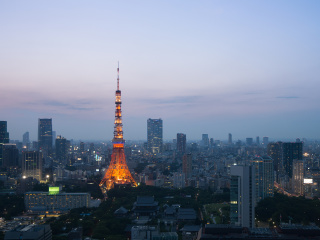 Twilight in Tokyo wallpaper 320x240