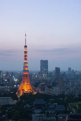 Das Twilight in Tokyo Wallpaper 320x480