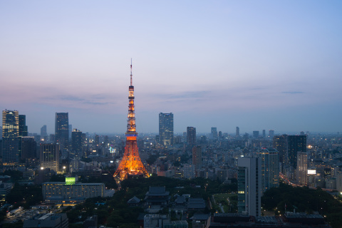 Twilight in Tokyo screenshot #1 480x320