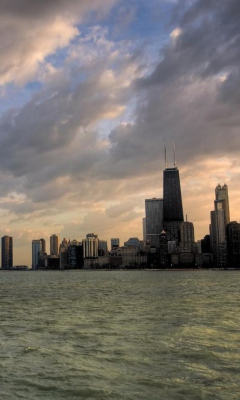 Das Chicago Skyline Wallpaper 240x400