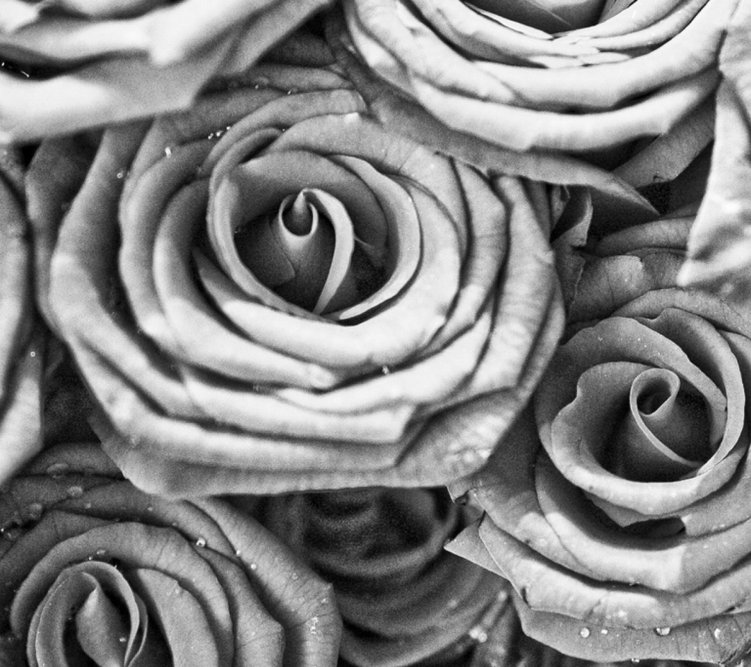 Das Roses Wallpaper 1080x960