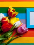 Fondo de pantalla Colorful Tulips 132x176