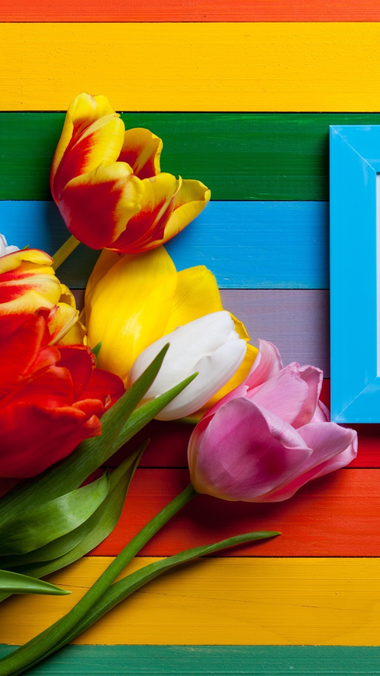 Colorful Tulips wallpaper 750x1334