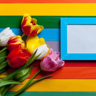 Kostenloses Colorful Tulips Wallpaper für iPad 2