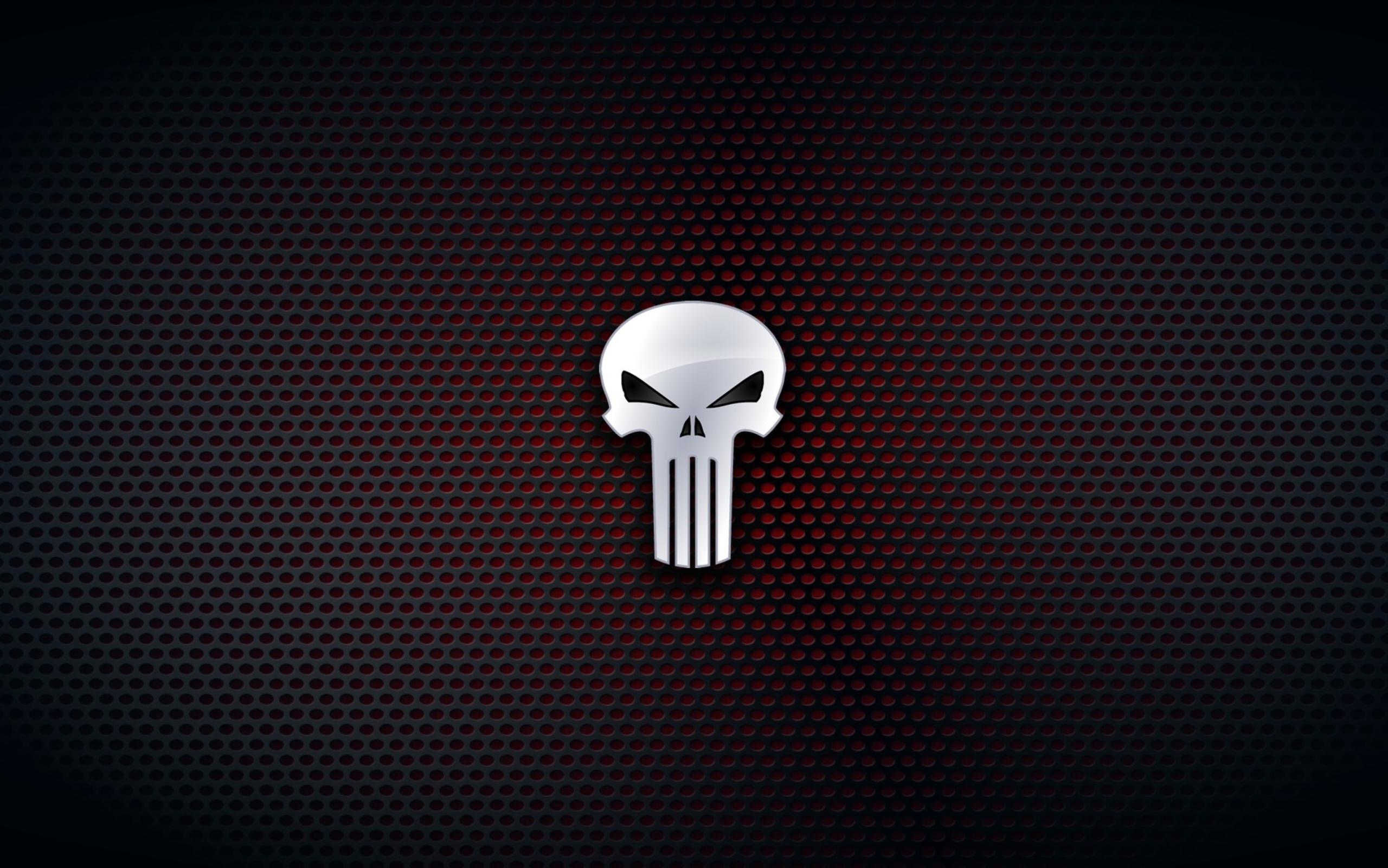 The Punisher, Marvel Comics wallpaper 2560x1600