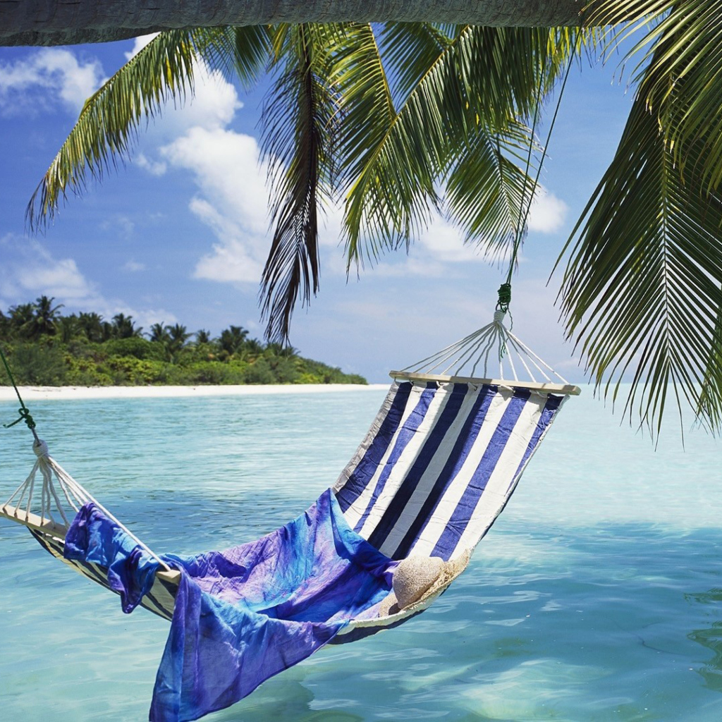 Fondo de pantalla Hammock Under Palm Tree 1024x1024