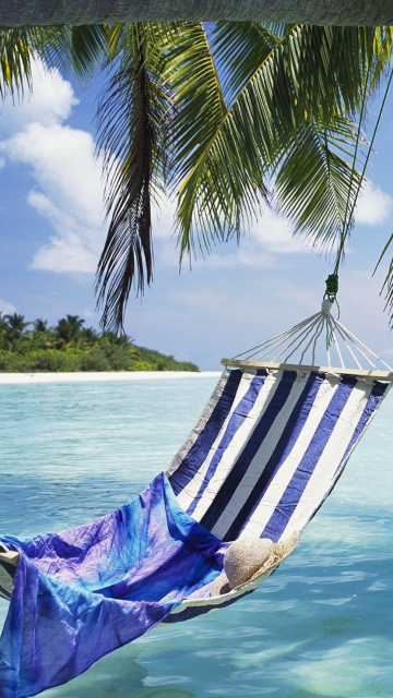 Hammock Under Palm Tree wallpaper 360x640