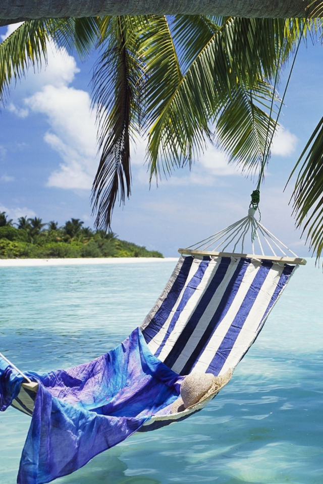 Das Hammock Under Palm Tree Wallpaper 640x960