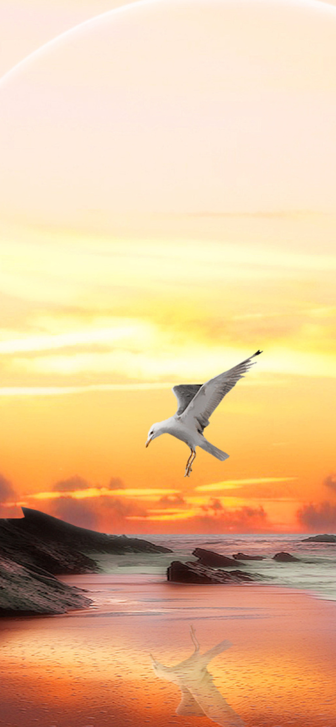 Screenshot №1 pro téma Seagull At Sunset 1170x2532