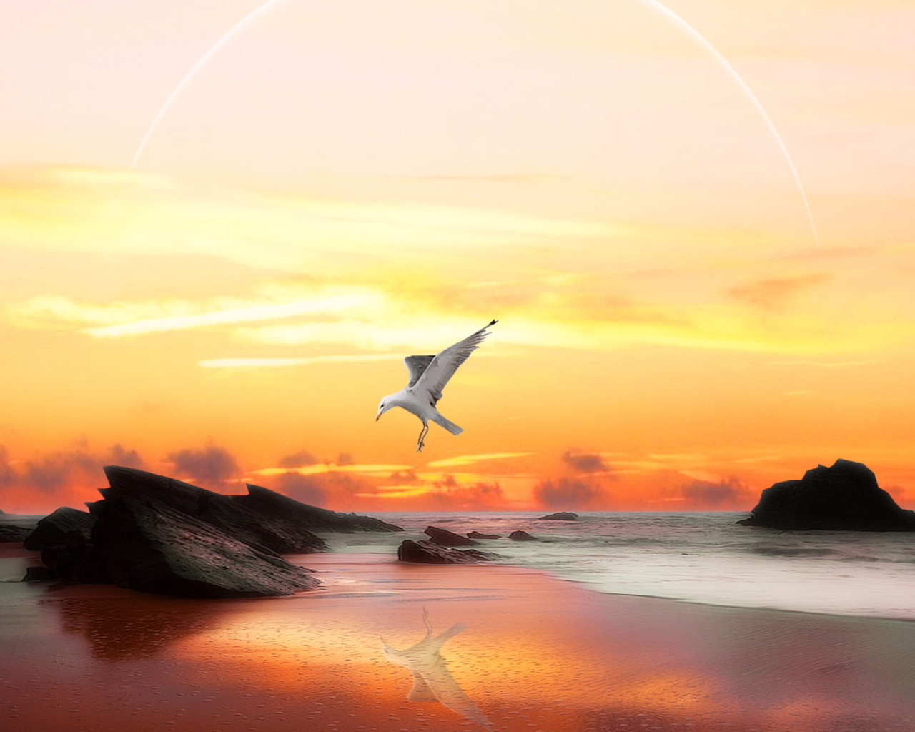 Seagull At Sunset wallpaper 1280x1024