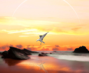Seagull At Sunset wallpaper 176x144