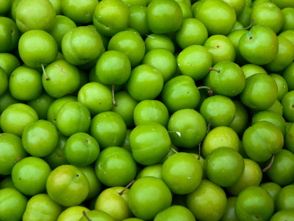 Sfondi Green Apples - Granny Smith 1024x768