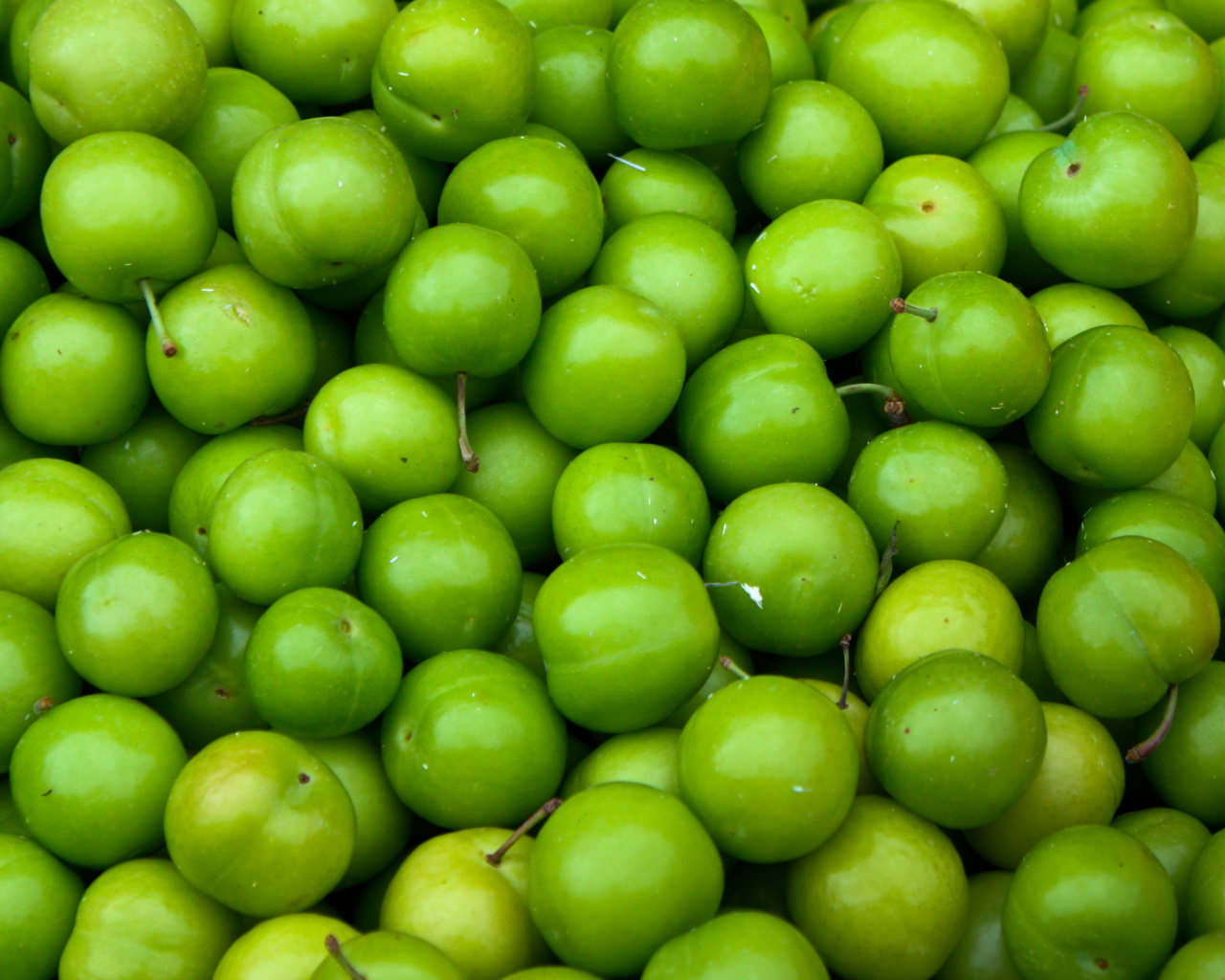 Обои Green Apples - Granny Smith 1280x1024