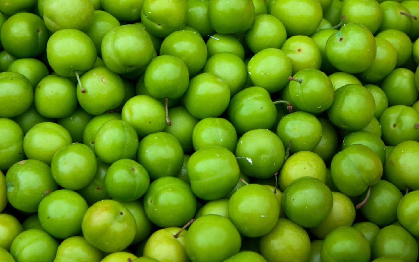 Sfondi Green Apples - Granny Smith 1440x900