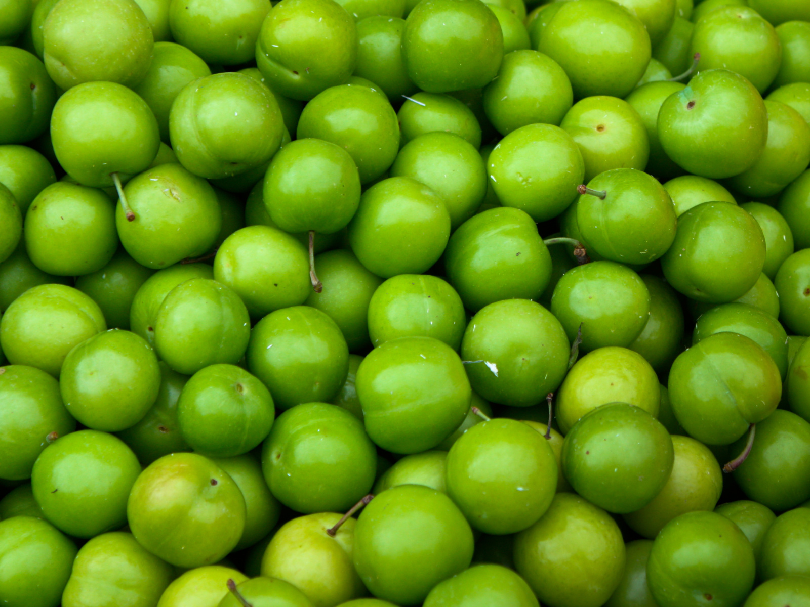 Green Apples - Granny Smith screenshot #1 1600x1200