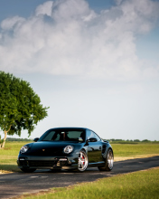 Porsche 911 Turbo screenshot #1 176x220