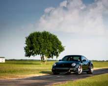 Porsche 911 Turbo screenshot #1 220x176