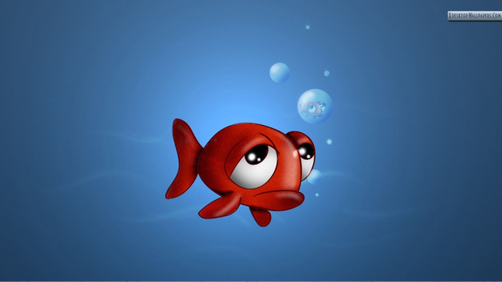 Fondo de pantalla Sad Fish 1600x900