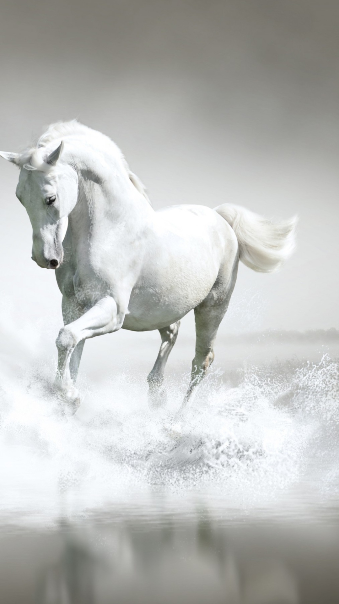 White Horse screenshot #1 1080x1920