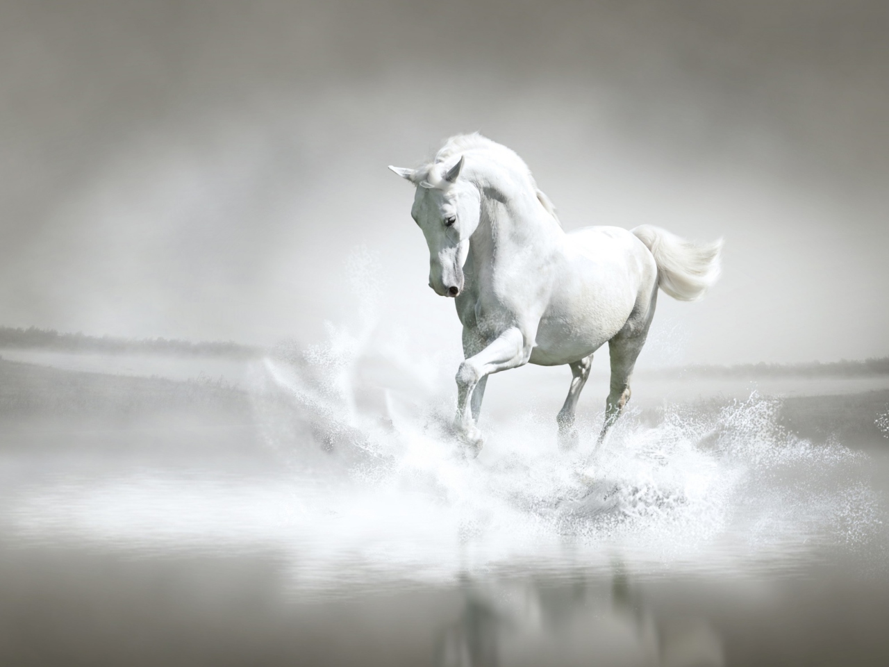 Das White Horse Wallpaper 1280x960