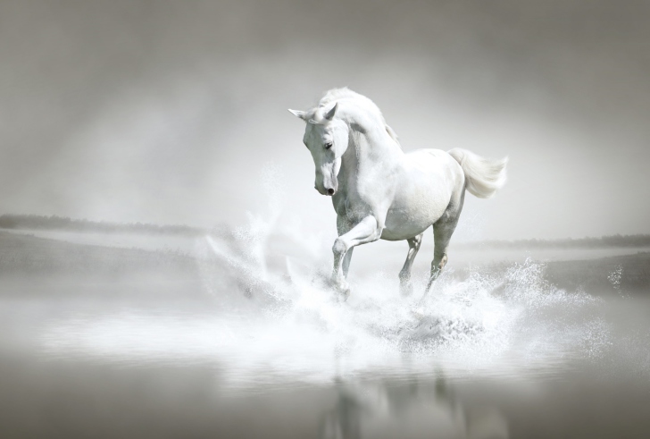 Das White Horse Wallpaper