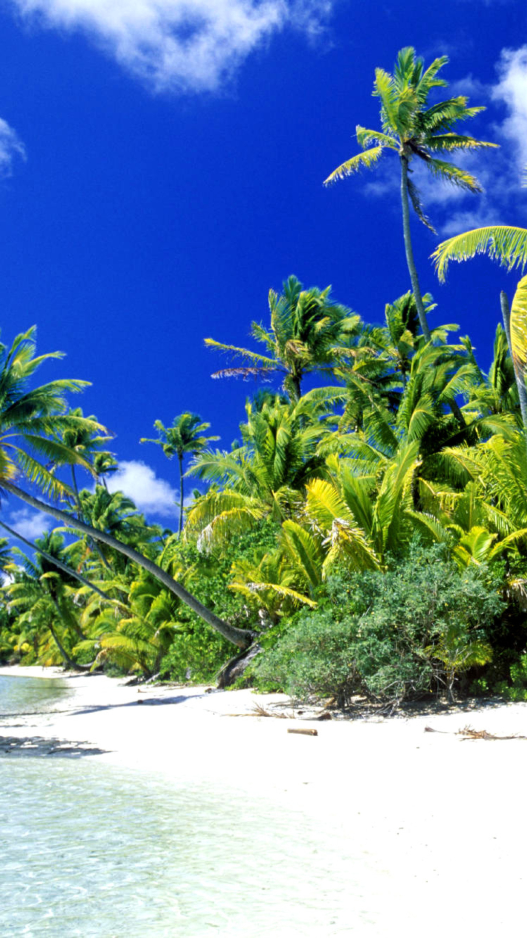 Das Palm Beach, Melanesia Wallpaper 1080x1920