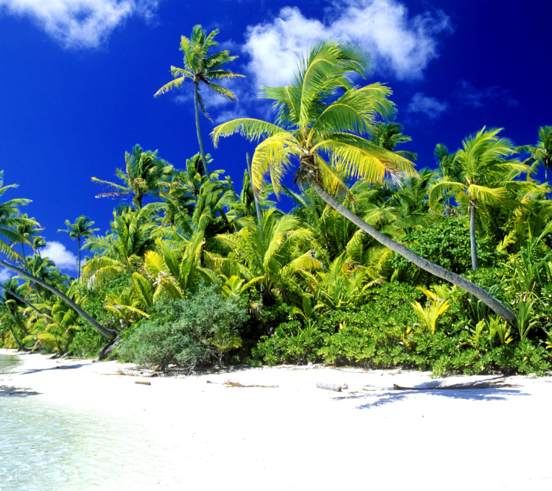 Sfondi Palm Beach, Melanesia 1080x960