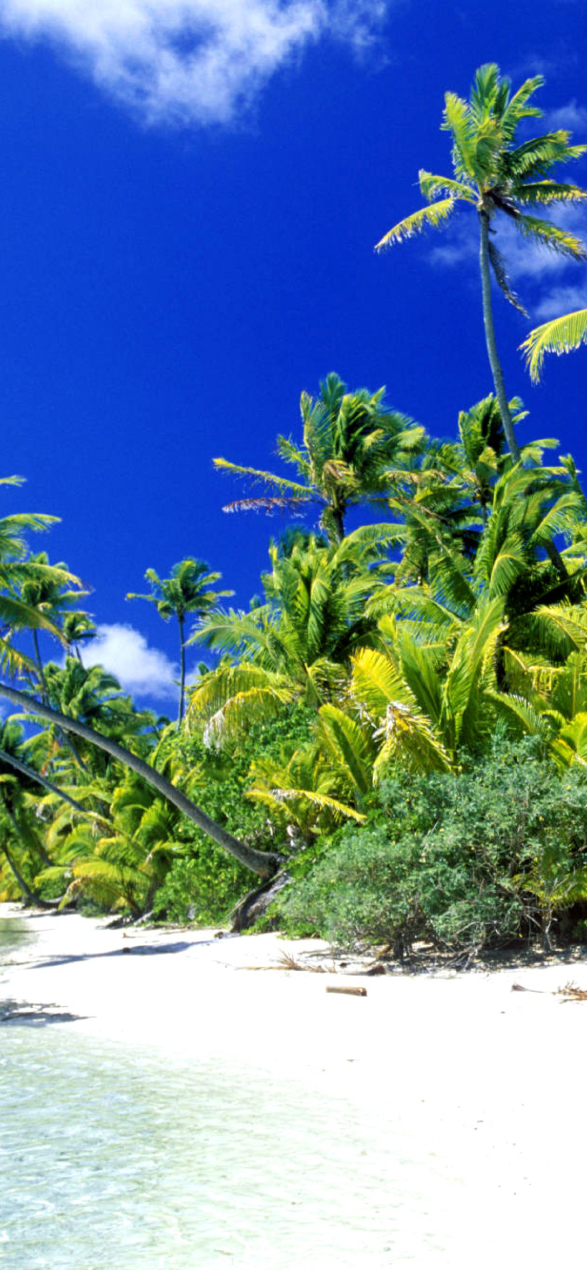 Palm Beach, Melanesia screenshot #1 1170x2532