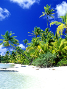 Fondo de pantalla Palm Beach, Melanesia 132x176