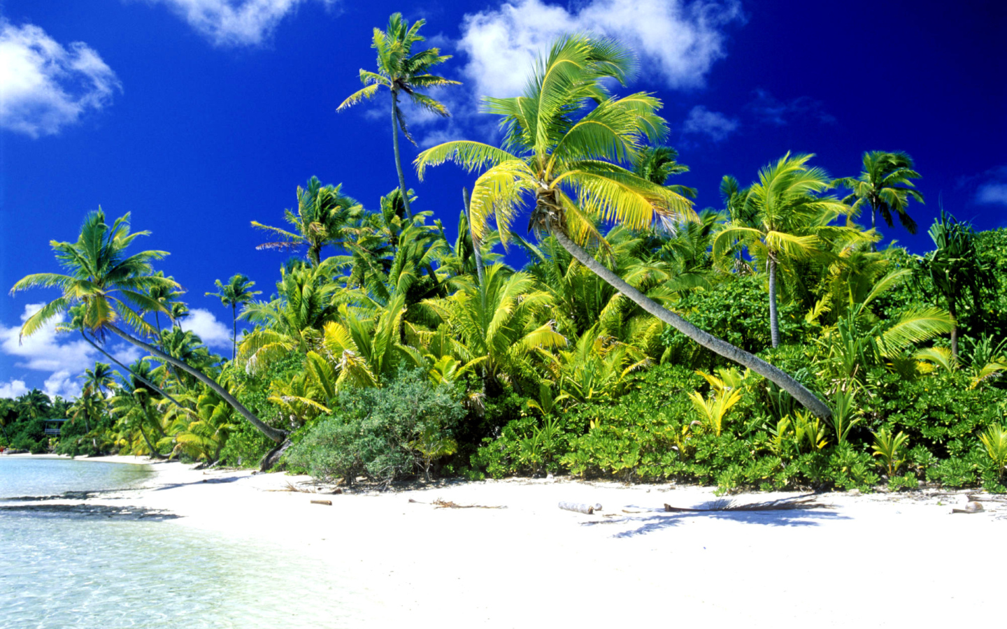 Sfondi Palm Beach, Melanesia 1440x900