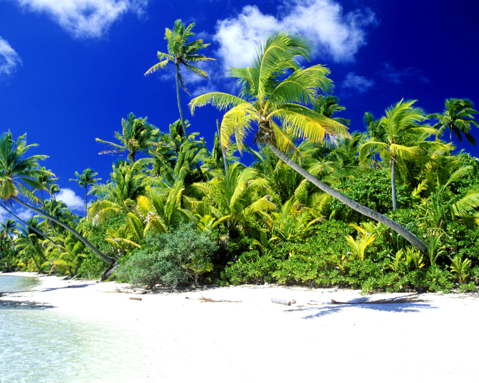 Palm Beach, Melanesia screenshot #1 1600x1280