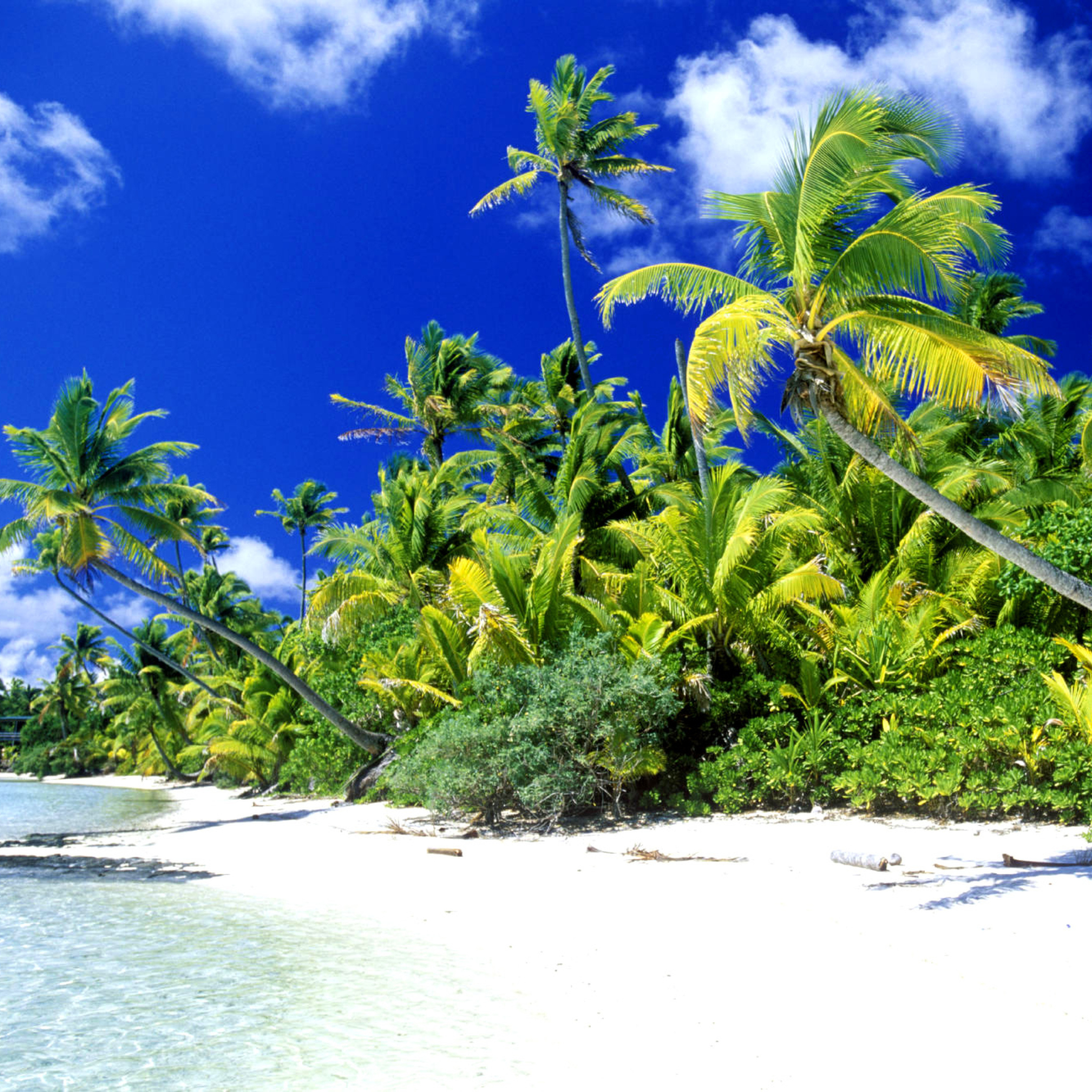 Palm Beach, Melanesia screenshot #1 2048x2048