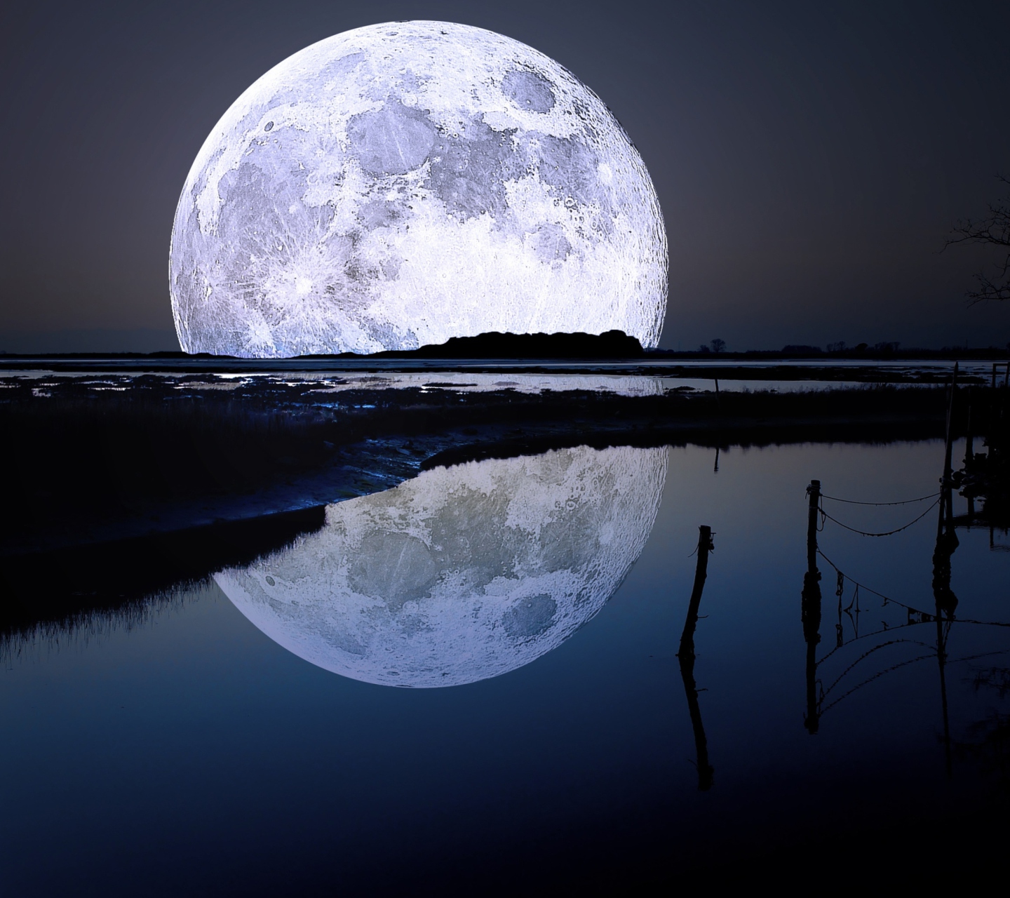 Full Moon wallpaper 1440x1280