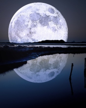 Das Full Moon Wallpaper 176x220