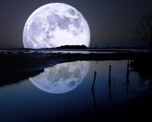 Full Moon wallpaper 220x176