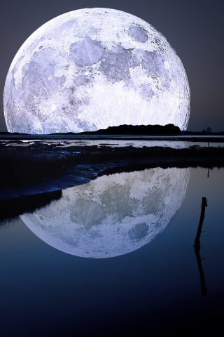 Обои Full Moon 320x480