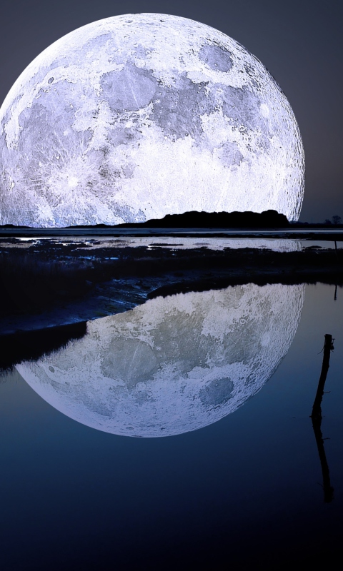 Full Moon wallpaper 480x800