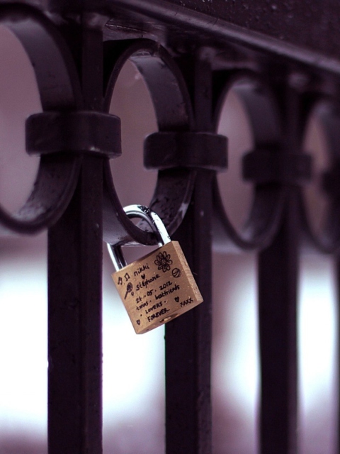 Das Forever Love Lock Wallpaper 480x640