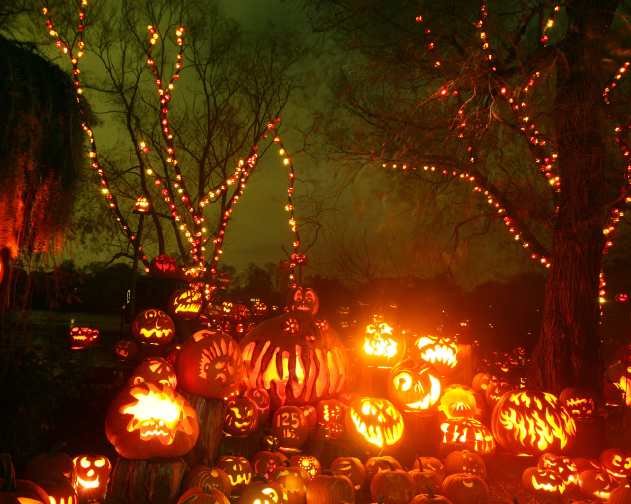 Halloween Pumpkins wallpaper 1280x1024