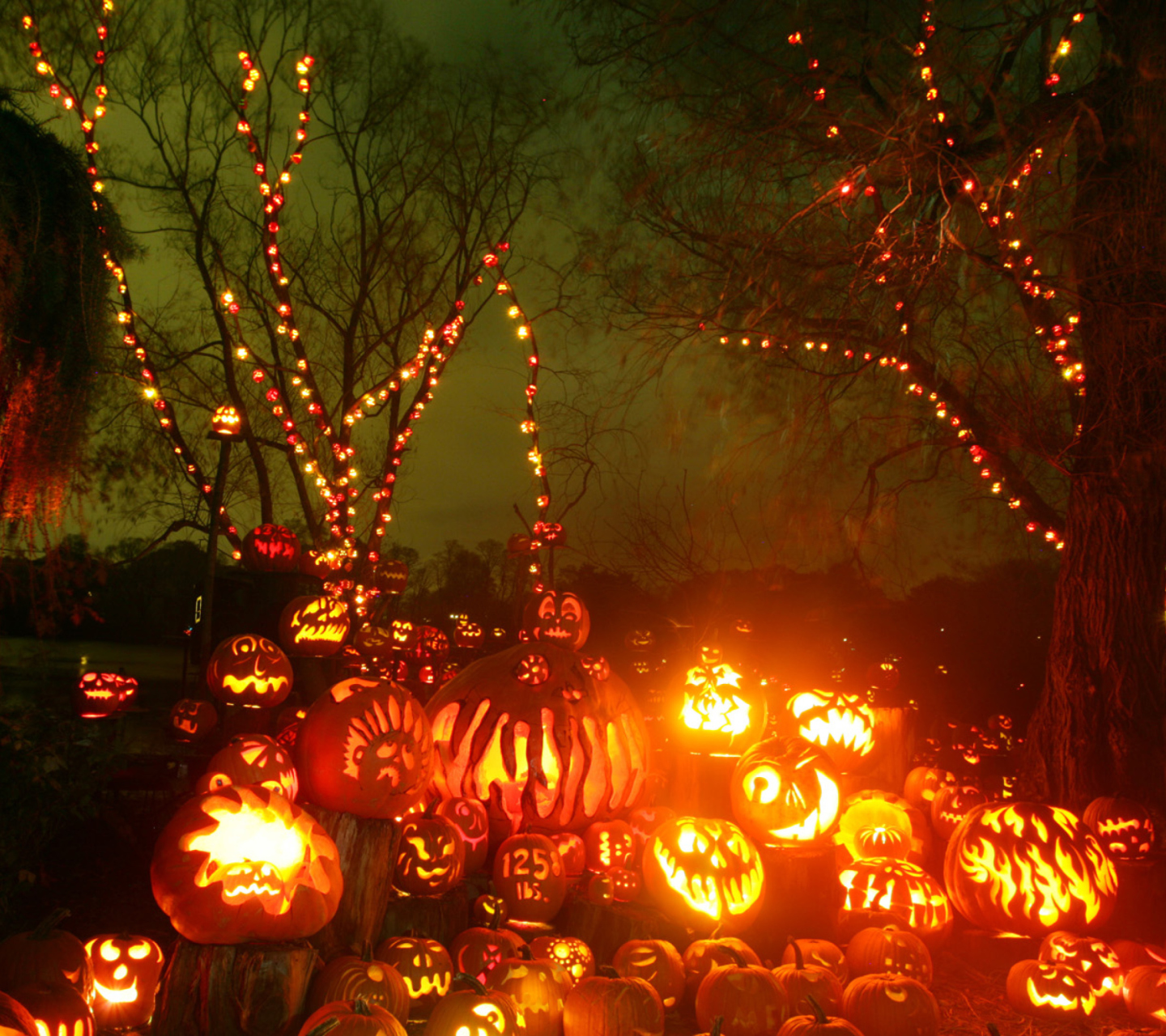 Screenshot №1 pro téma Halloween Pumpkins 1440x1280