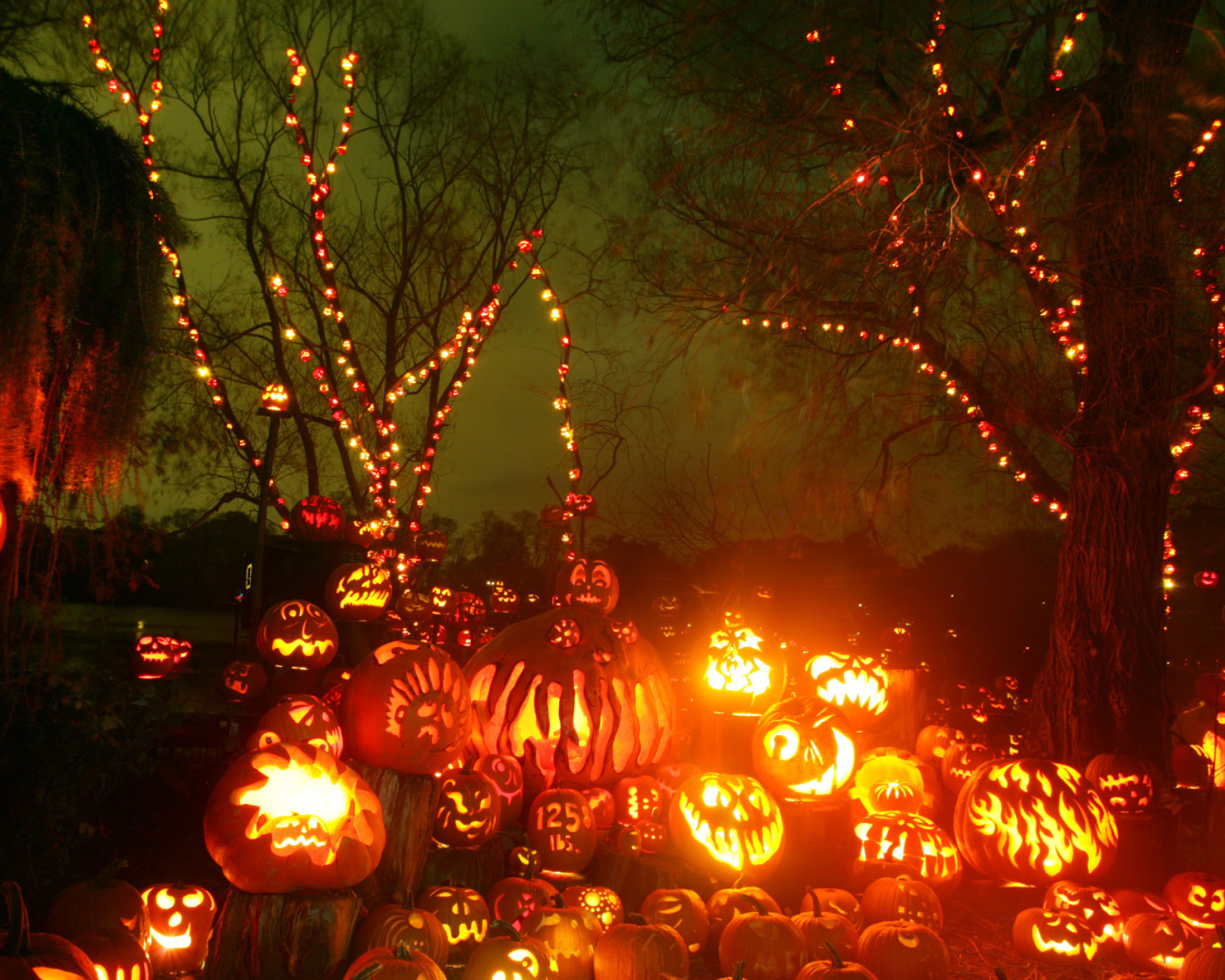 Das Halloween Pumpkins Wallpaper 1600x1280